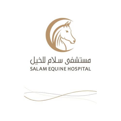 مستشفي سلام للخيل