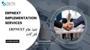 ERPNext Implementation Services