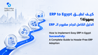 How to Implement Easy ERP For Egypt Successfully: A Complete Guide to Hassle-Free ERP Adoption